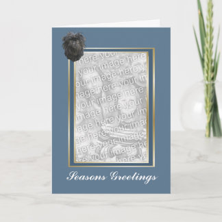 Cartes Pour Fêtes Annuelles L'Affenpinscher assaisonne saluer Photocard