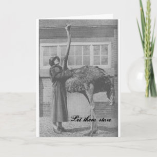Cartes Pour Fêtes Annuelles Laisse-les regarder