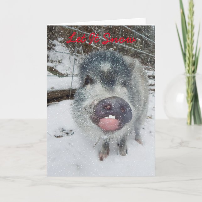 Cartes Pour Fêtes Annuelles Laisser neiger Noël Pig Card (Devant)
