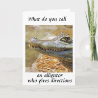 L'ALLIGATOR NAVIGATEUR* POUR VOTRE ANNIVERSAIRE