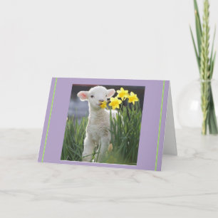 Cartes Pour Fêtes Annuelles Lamb of Easter, no overrated bunnies