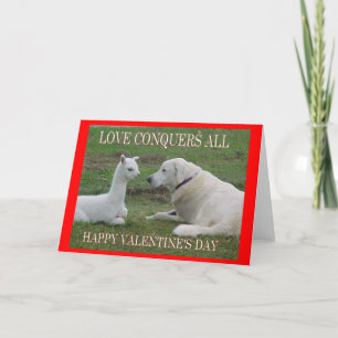 Cartes Pour Fêtes Annuelles L'amour conquiert tout