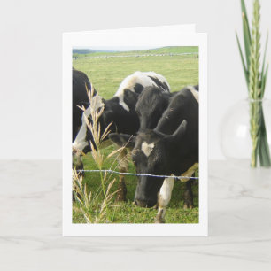 Cartes Pour Fêtes Annuelles L'amour de la vache