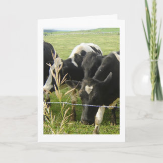 Cartes Pour Fêtes Annuelles L'amour de la vache