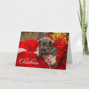 Cartes Pour Fêtes Annuelles L'amour de Noël