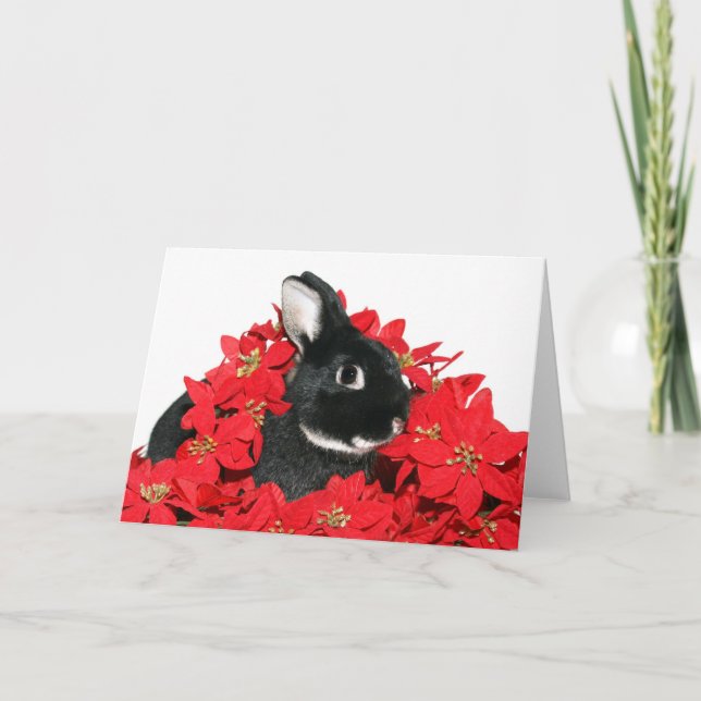 Cartes Pour Fêtes Annuelles lapin de Noël (Devant)