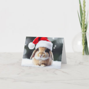 Cartes Pour Fêtes Annuelles Lapin de Noël