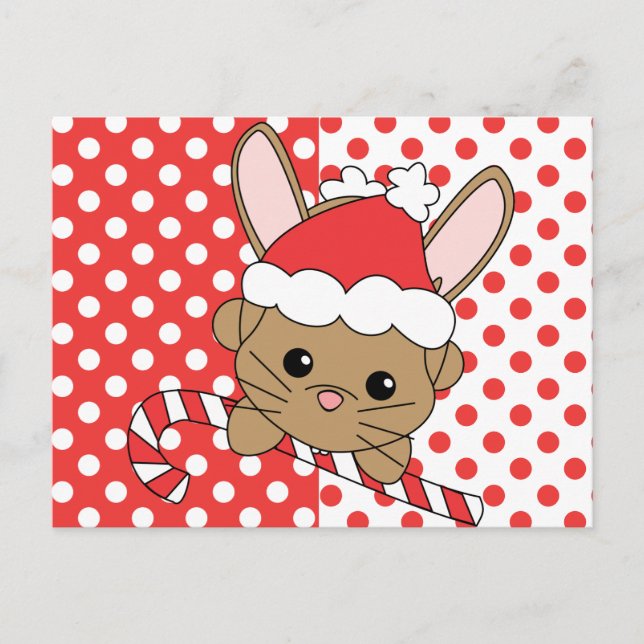 Cartes Pour Fêtes Annuelles Lapin de Noël (Devant)