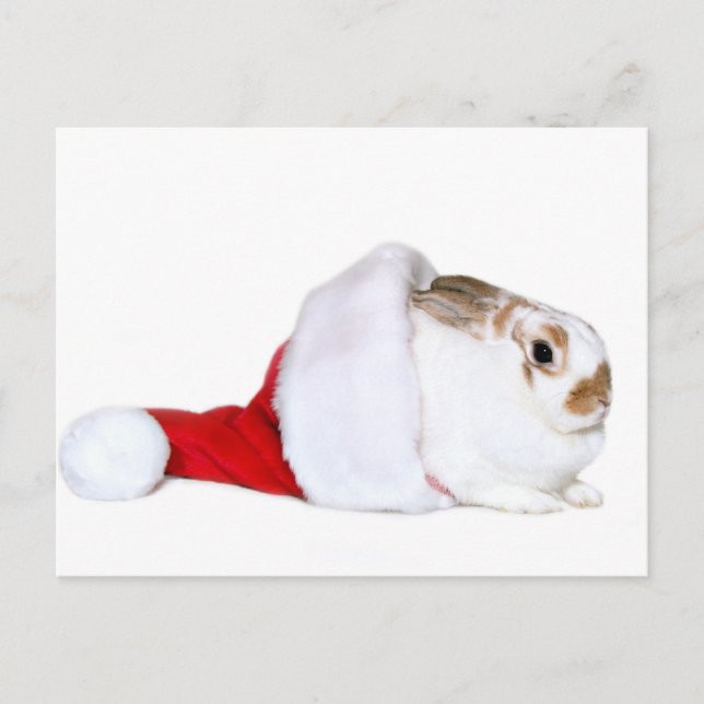 Cartes Pour Fêtes Annuelles Lapin de Noël (Devant)
