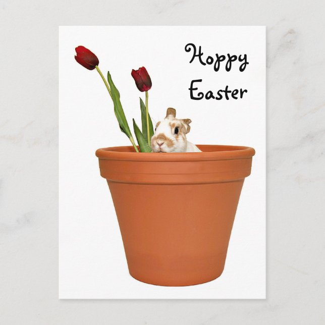 Cartes Pour Fêtes Annuelles Lapin de Pâques (Devant)