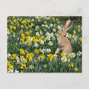 Cartes Pour Fêtes Annuelles Lapin de Pâques