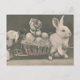Cartes Pour Fêtes Annuelles Lapin de Pâques Vintage Adorable
