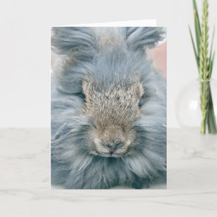 Cartes Pour Fêtes Annuelles Lapin gris de Pâques