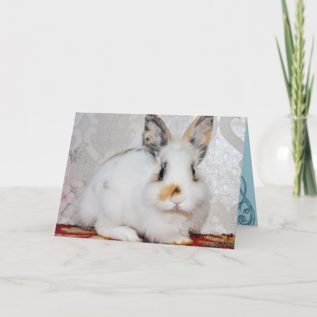 Cartes Pour Fêtes Annuelles Lapin Lapin (Devant)