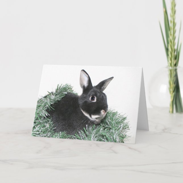 Cartes Pour Fêtes Annuelles Lapin lapin lapin Noël (Devant)