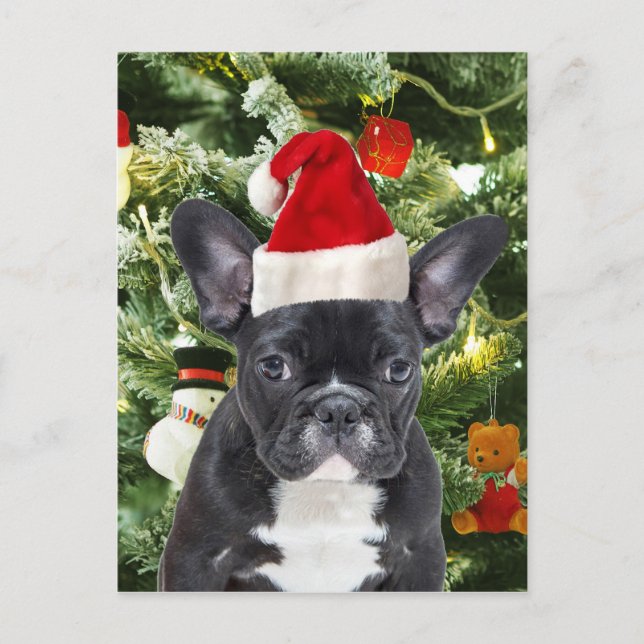 Cartes Pour Fêtes Annuelles L'arbre de Noël de bouledogue français ornemente (Devant)
