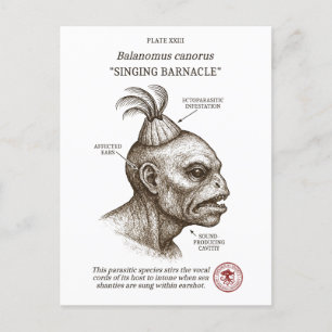 Cartes Pour Fêtes Annuelles Le barnacle chantant - biologie de Lovecraftian