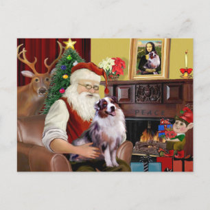 Cartes Pour Fêtes Annuelles Le berger australien merle de Santa