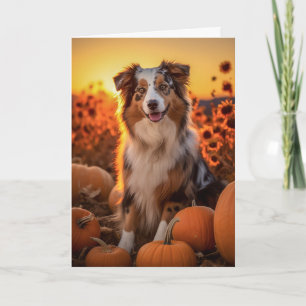 Cartes Pour Fêtes Annuelles Le berger australien Thanksgiving