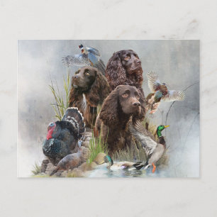 Cartes Pour Fêtes Annuelles Le Boykin Spaniel