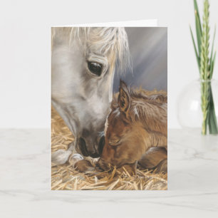 Cartes Pour Fêtes Annuelles Le cadeau