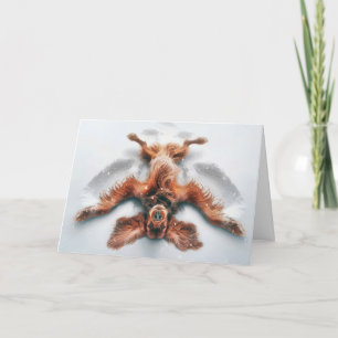 Cartes Pour Fêtes Annuelles Le cadre irlandais de Noël fait un ange de neige