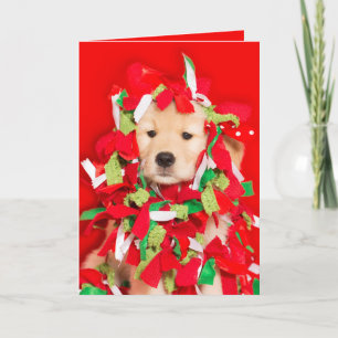 Cartes Pour Fêtes Annuelles Le chat l'a fait Golden Retriever chiot
