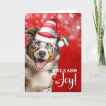 Le chien berger australien déchaîne la joie Noël