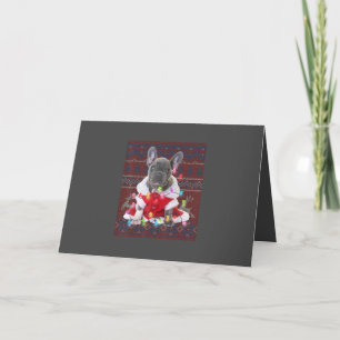 Cartes Pour Fêtes Annuelles Le chien de Noël des Bulgares français éclaire un 