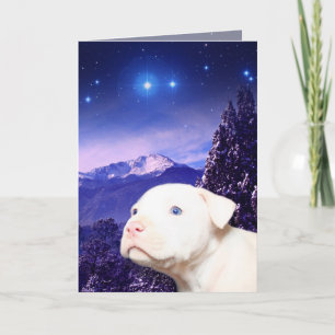 Cartes Pour Fêtes Annuelles Le chien est Dieu écrit vers l'arrière…