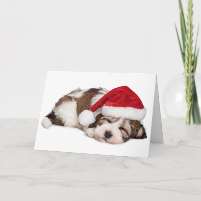 Cartes Pour Fêtes Annuelles Le chiot mignon de sommeil Havanese rêve (Devant)