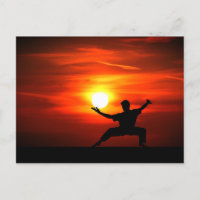 Le combat de Kung Fu !