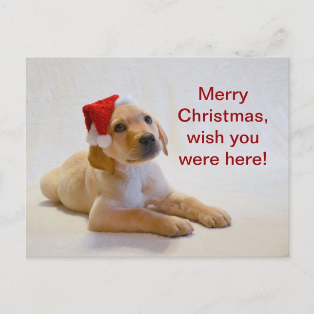 Cartes Pour Fêtes Annuelles Le "cuivre" indique le Joyeux Noël ! (Devant)