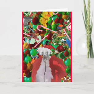 Cartes Pour Fêtes Annuelles le gOaTINgS des saisons