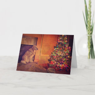 Cartes Pour Fêtes Annuelles Le golden retriever attend par la cheminée