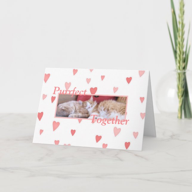 Cartes Pour Fêtes Annuelles Le Jour de la Valentine de Snuggling (Devant)