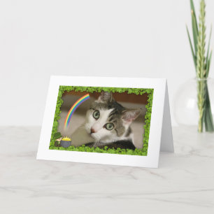 Cartes Pour Fêtes Annuelles Le jour Gracey de St Patrick