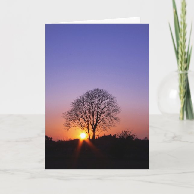 Cartes Pour Fêtes Annuelles Le jour le plus court (Devant)