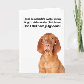 Cartes Pour Fêtes Annuelles Le lapin de Pâques était trop rapide (Vizsla) -