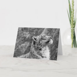 Cartes Pour Fêtes Annuelles Le léopard des neiges pacifique