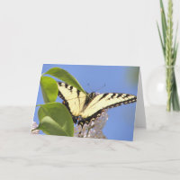 Le machaon oriental de tigre effectue le vol