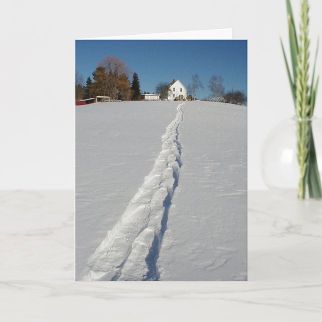 Cartes Pour Fêtes Annuelles Le pays des merveilles d'hiver (Devant)