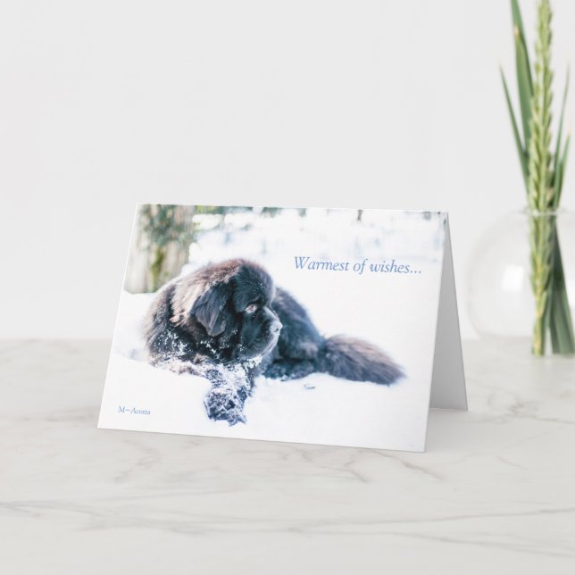 Cartes Pour Fêtes Annuelles Le plus chaud des souhaits… (Devant)