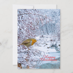 Cartes Pour Fêtes Annuelles Le Robin