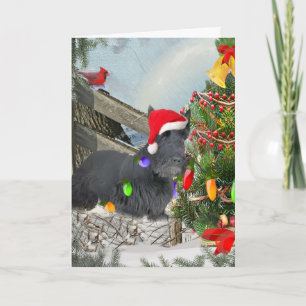 Cartes Pour Fêtes Annuelles L'écossais Terrier décore l'arbre de Noël