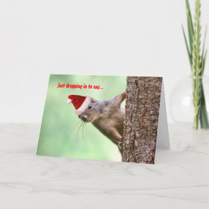 Cartes Pour Fêtes Annuelles L'écureuil de Noël sur un arbre