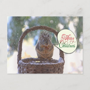 Cartes Pour Fêtes Annuelles L'écureuil en neige dit Joyeux Noël