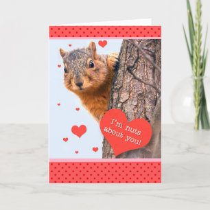 Cartes Pour Fêtes Annuelles L'Écureuil Heureuse Sainte-Valentin au coeur