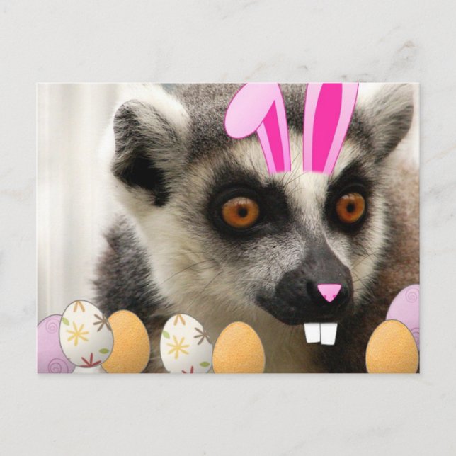 Cartes Pour Fêtes Annuelles Lemur Easter (Devant)
