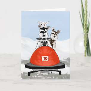 Cartes Pour Fêtes Annuelles L'équipe de Bobsleighing de Schnauzer